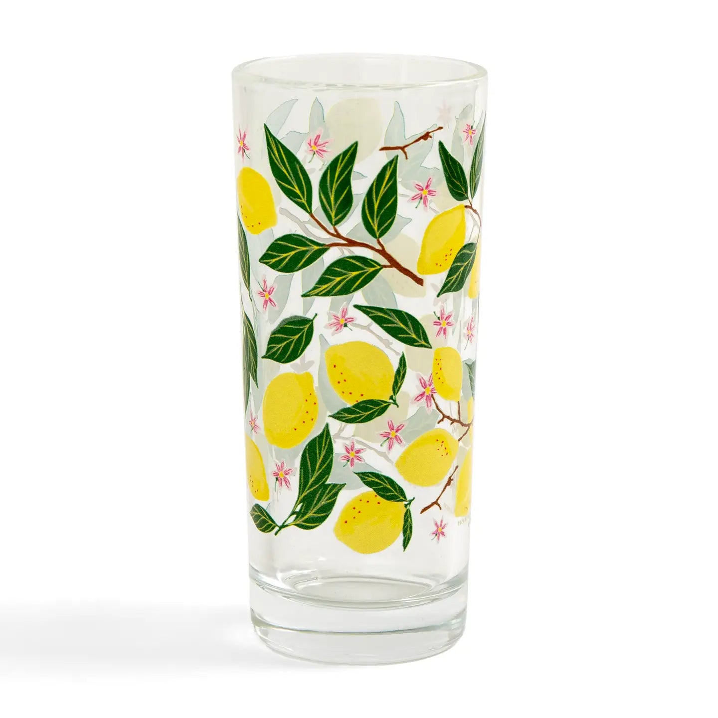 Berries & Citrus Tall Juice Glasses - P I C N I C 