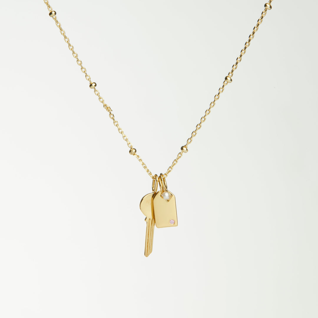 Nova Gold Charm Necklace - P I C N I C 